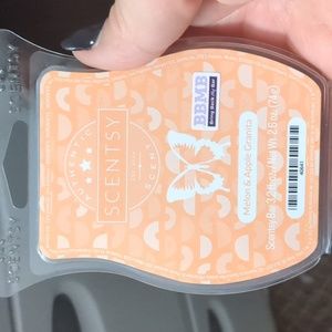 Melon and apple granita scentsy bar